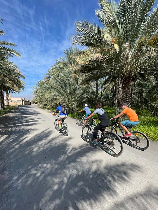 guest cycle ride during al hamra heritage tour