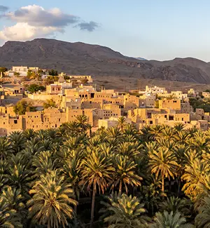 Late afternoon light over Old Al Hamra and the date-palm groves