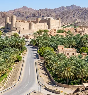 Road leading into Bahla town past date-palm groves in Ad Dakhiliyah