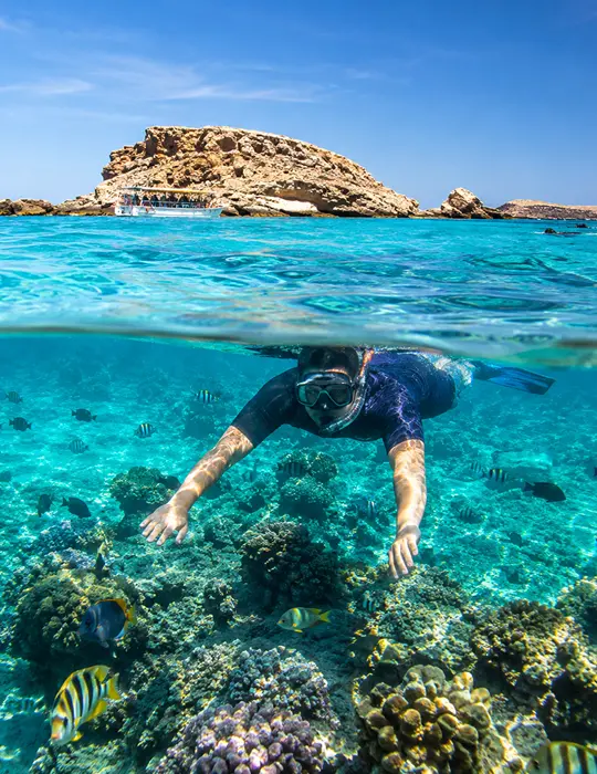 A Man's snorkeling in Daymaniyat Island