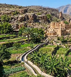 Terraced greenery and valley views in Misfat Al Abriyyin