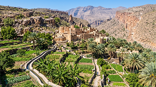 Terraced gardens and mountain village scenery in Misfat Al Abriyyin