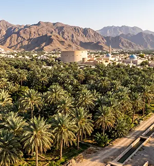 Date-palm plantations leading into Nizwa city, Oman