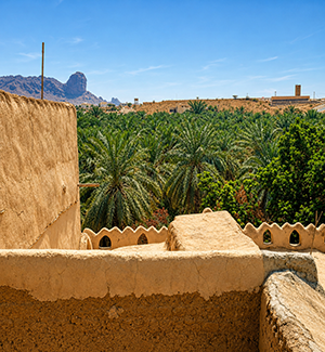 Heritage mud-brick houses in Al Hamra