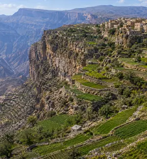 Terraced fields of Saiq Plateau climbing the cliff walls of Jabal Akhdar
