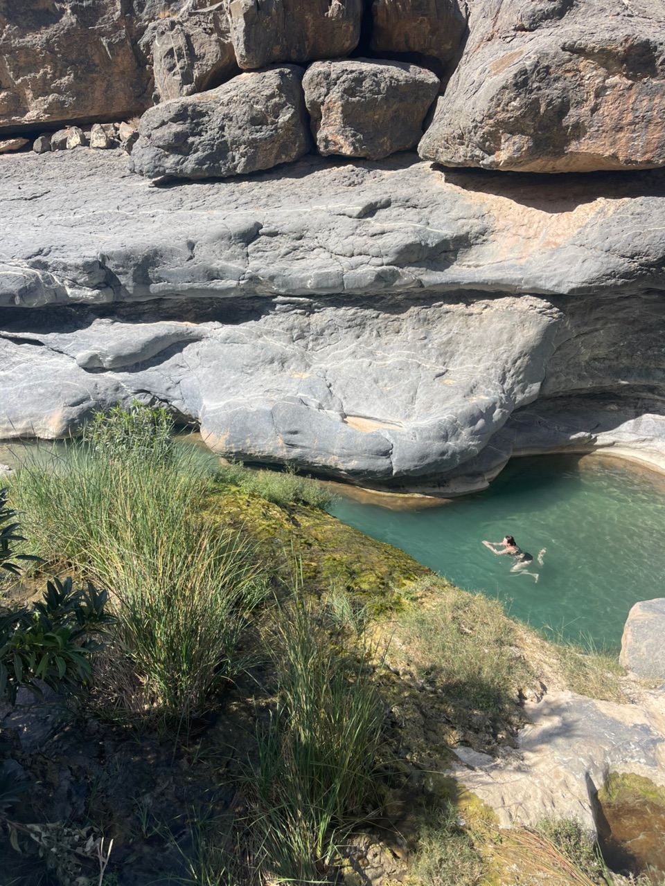 guest swimming in wadi damm