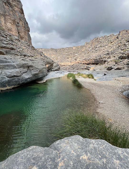 pool in wadi damm